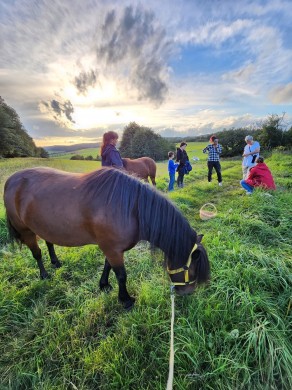 Naturpark Lahn-Dill-Bergland - Naturerlebnistermine im ...